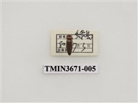 藏品(叩頭蟲(2))的圖片